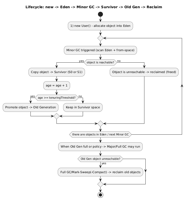 Object Lifecycle In Heap